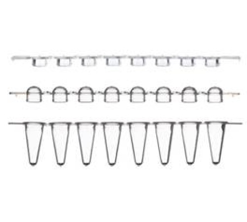 Пробирки для ПЦР в стрипах, 0,2 мл, 1х8, с ультра прозрачными плоскими крышками, низкий профиль, белые, полипропилен, 250 шт/уп., Thermo FS