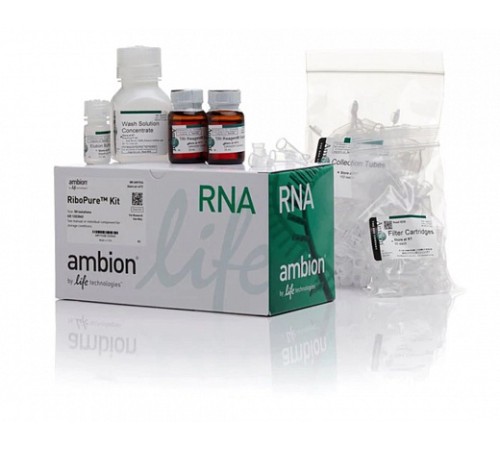 Набор RiboPure RNA Purification Ki, Thermo FS